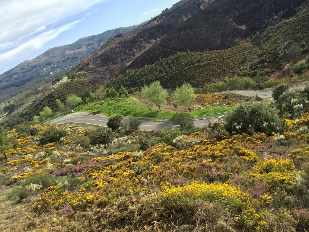 Villar de Otero Alojamiento En Entorno Rural Los Trobos מראה חיצוני תמונה