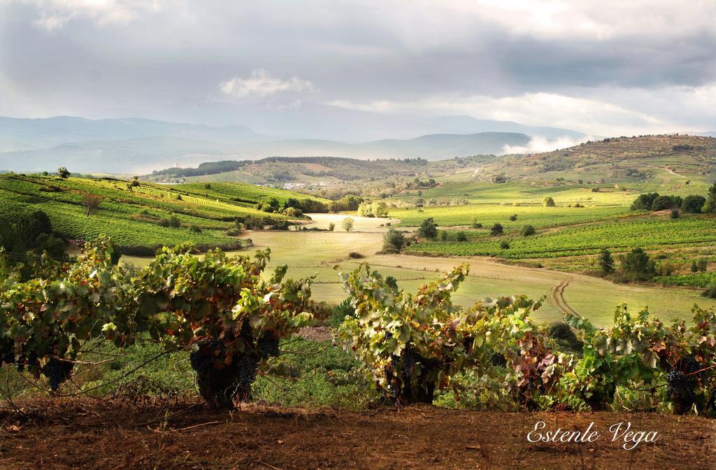 Villar de Otero Alojamiento En Entorno Rural Los Trobos מראה חיצוני תמונה